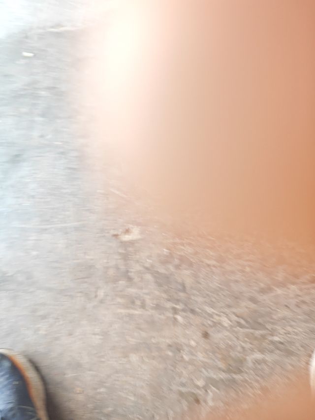 Rullo per bicicletta