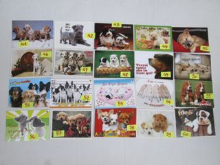CANI CAGNOLINI CARTOLINA 10 X15 collezione vintage