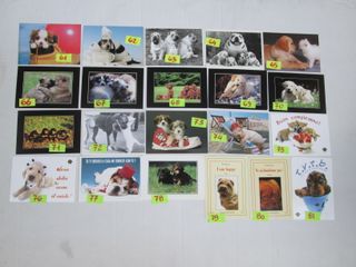 CANI CAGNOLINI CARTOLINA 10 X15 collezione vintage