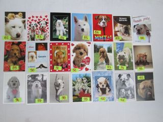 CANI CAGNOLINI CARTOLINA 10 X15 collezione vintage