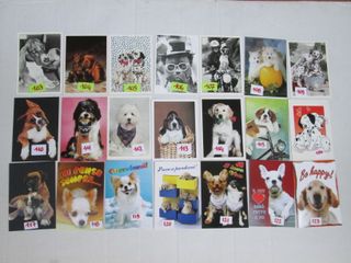 CANI CAGNOLINI CARTOLINA 10 X15 collezione vintage