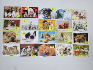 CANI CAGNOLINI CARTOLINA 10 X15 collezione vintage