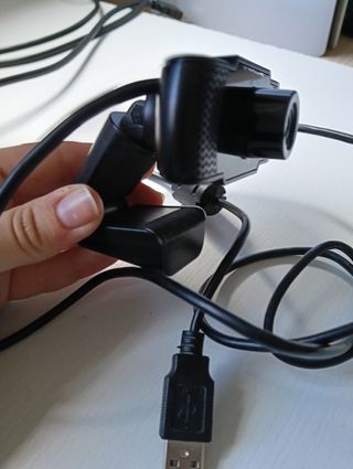 Webcam con micrófono