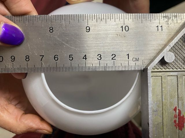 Tulipa opalina blanca