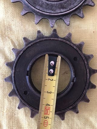 Scatto ruota libera e catena Regina Extra