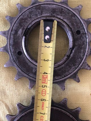 Scatto ruota libera e catena Regina Extra