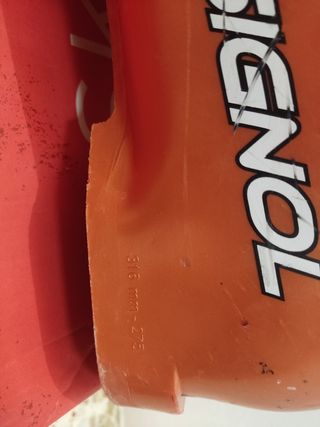 Botas de esquí alpino