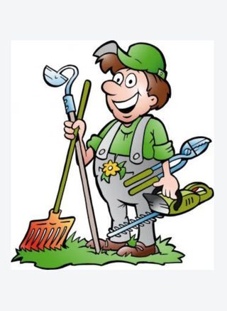 Jardinero responsable y economico