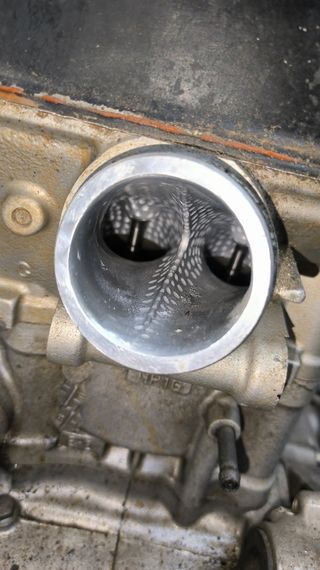 Motor trx 450