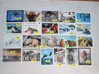 ANIMALI MISTI CARTOLINA 10 X15 collezione vintage