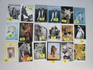 ANIMALI MISTI CARTOLINA 10 X15 collezione vintage