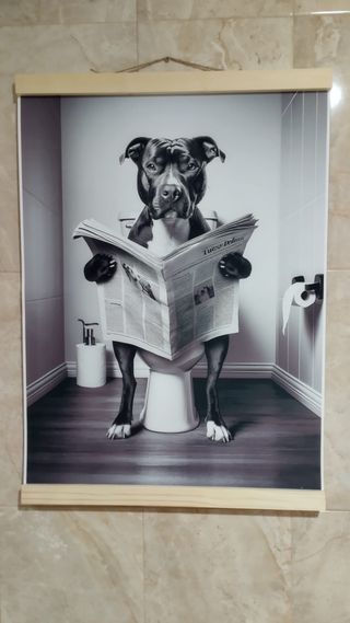 Cuadros de animales con marco de madera 