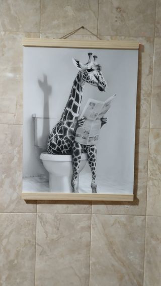Cuadros de animales con marco de madera 