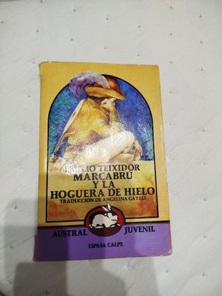 Marcabru Y LA Hoguera De Hielo/Marcabru and the Bonfire on Ice (Spanish Edition)