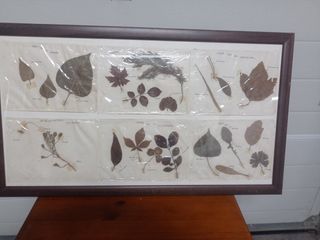 Cuadro antiguo de hojas