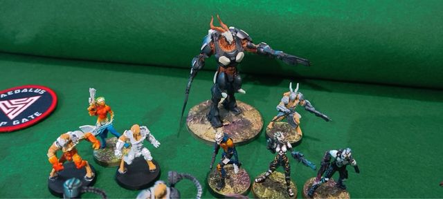 Tohaa ejercito completo INFINITY CORVUS BELLY