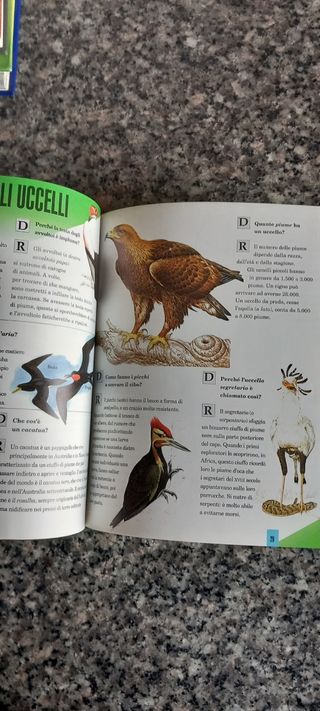 Che cosa sai di ? Piante e Animali Oltr