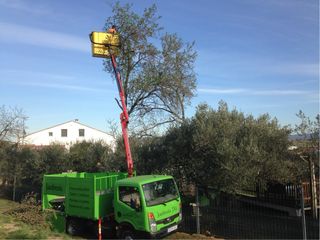 Se realizan recojidas de restos vegetales