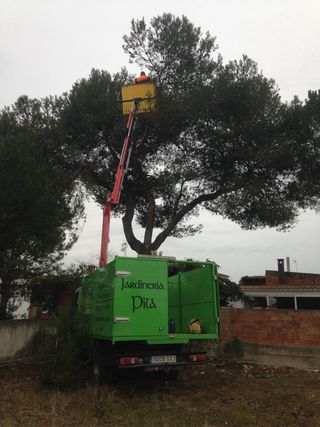 Se realizan recojidas de restos vegetales