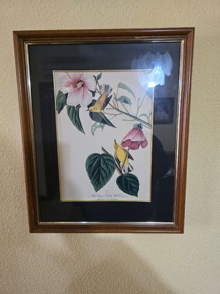 Cuadros