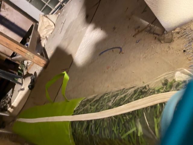 Malla ocultacion jardin imitacion seto