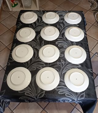 Set piatti in porcellana Richard Ginori  Pz 12