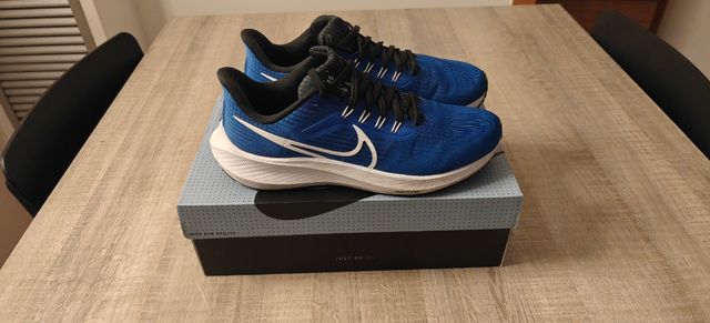 Nike Pegasus 39 talla 41