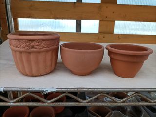 Mini Vasi Terracotta Pianta Grassa