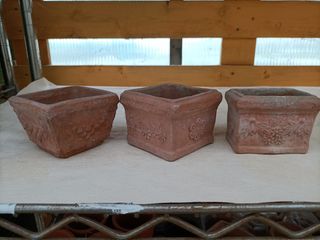Mini Vasi Terracotta Pianta Grassa