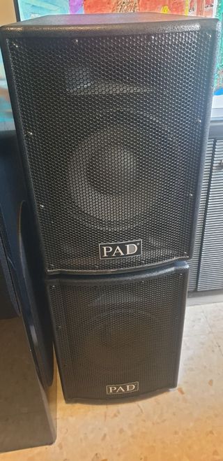 Monitores woofer 10'' con tweeter