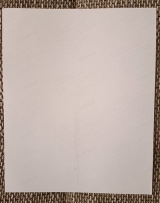 Firma de Adele en fotografía de 25X20 con certific