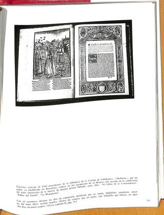 Una selva de reyes. La asombrosa historia