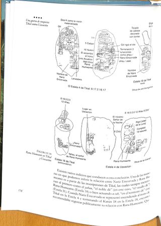 Una selva de reyes. La asombrosa historia
