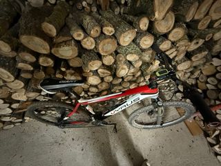 Bicicleta de montaña