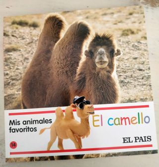 EL CAMELLO Mis animales favoritos Libro d 4/8 años