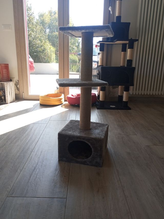 Tiragraffi per gatti