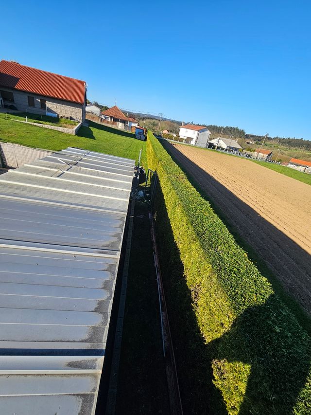 Jardineria y forestal