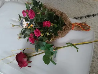 Rosas  ,maceteros.varios precios