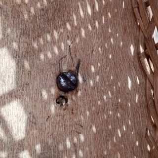 carrozzina in vimini e ferro battuto del 900