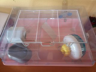Jaula hamster