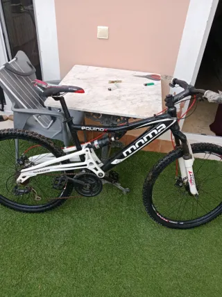 Bicicleta montaña momma