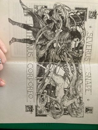 Libros Harry Potter Ed. Slhyterin 20 aniv.