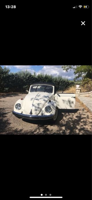 Beetle