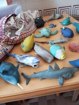 Animali acquatici morbidi