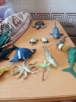 Animali acquatici morbidi