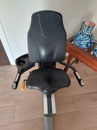 Bici estatica reclinada Matrix