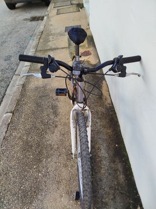 Bicicleta de montaña 