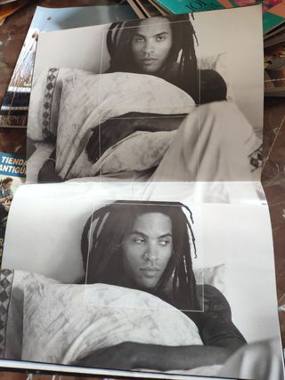 Lenny kravitz posters