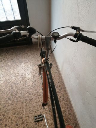 Bicicleta paseo