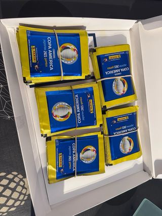 Diego Armando Maradona “Panini Special Signed”